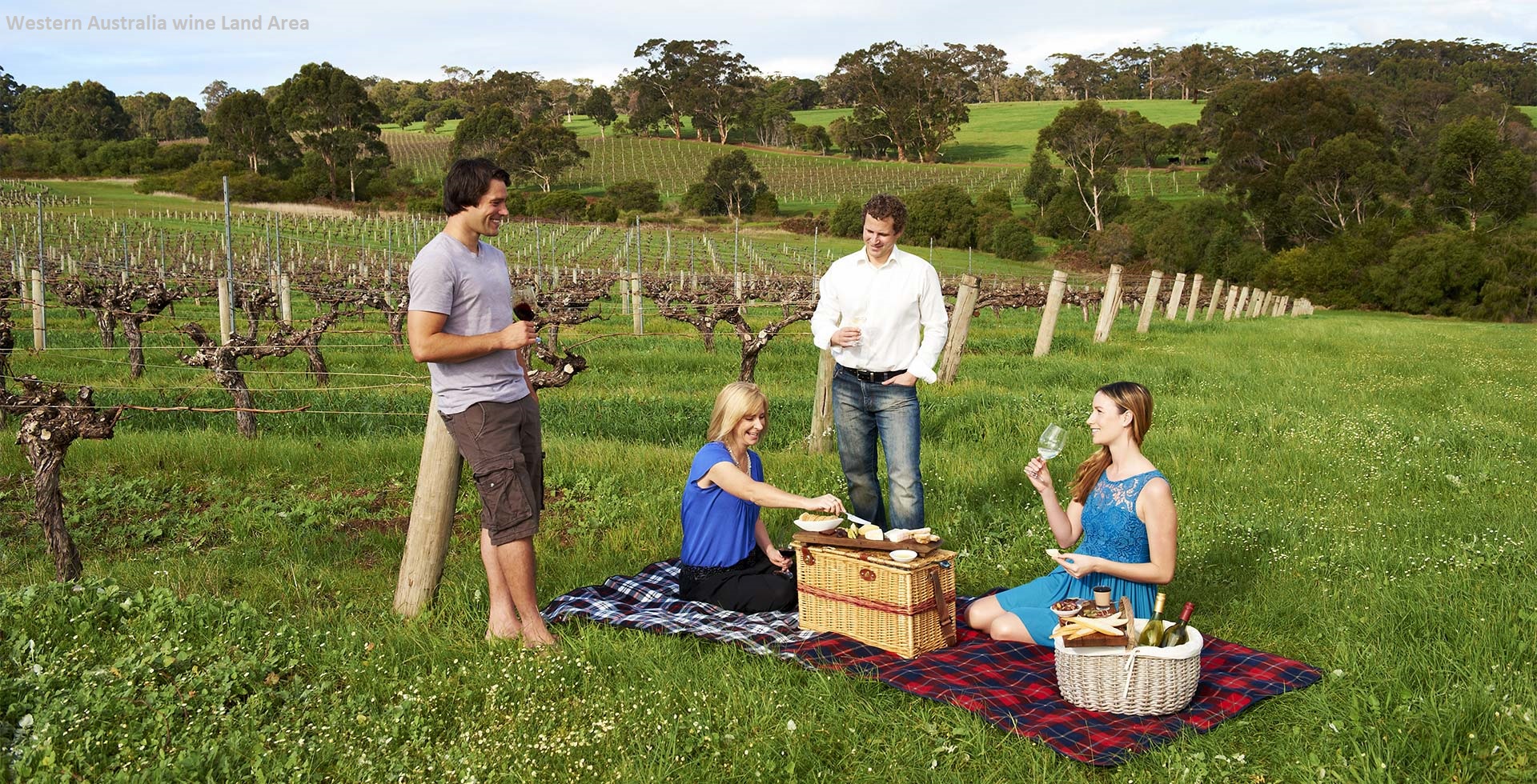 Western Australia wine Tour